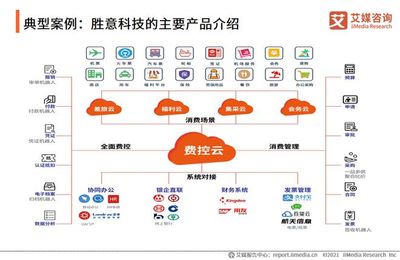 2021上半年中国费控报销行业标杆企业分析--胜意科技